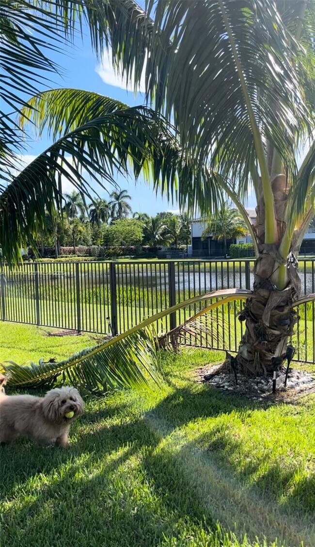 Building Photo - 17267 Windy Pointe Ln