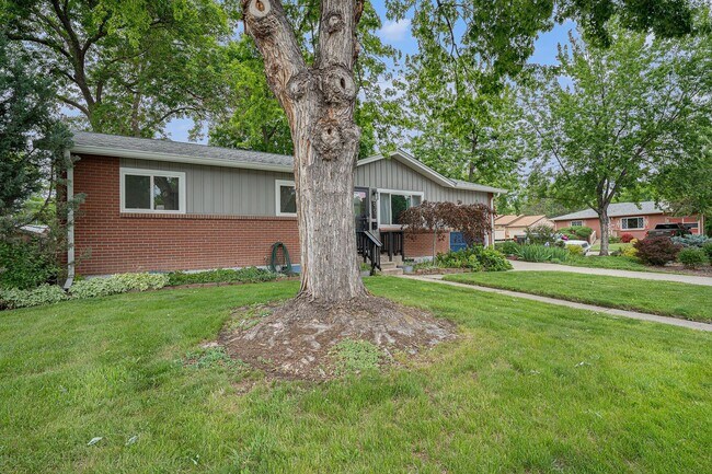 Building Photo - Beautiful 3 Bed 2.5 Single Family Home in ...