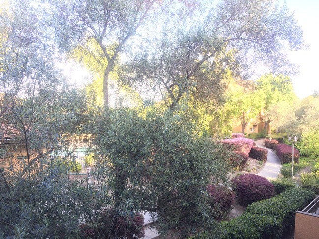 Balcony View - 480 Bollinger Canyon Ln