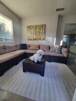 Building Photo - 20354 Laguna Canyon Rd