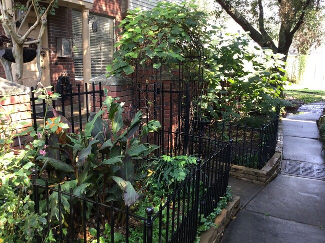 Arbor covered in grapevine that produces every year! - 1103 Dulles Ave