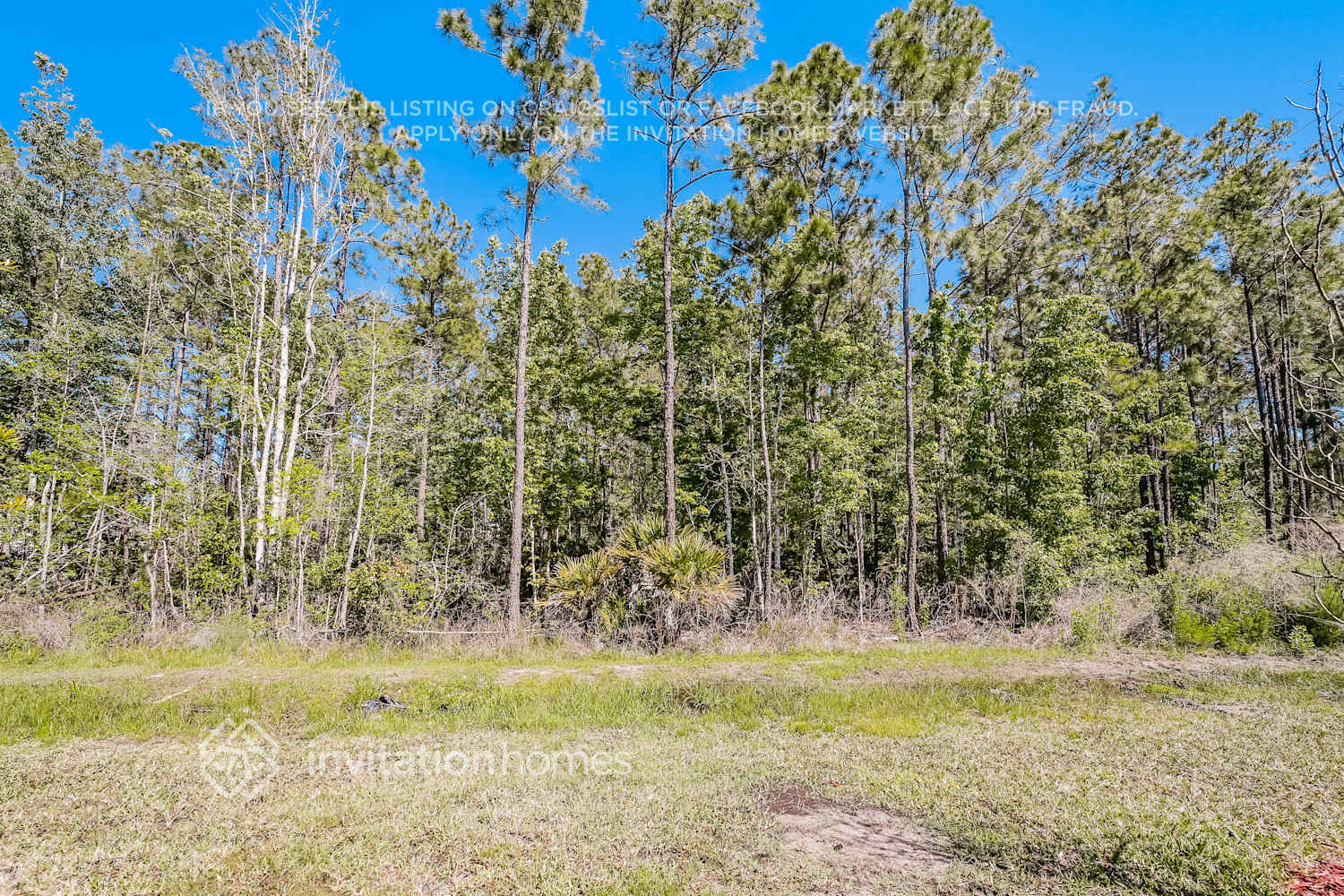 Building Photo - 1231 Coastal Mdw Trl