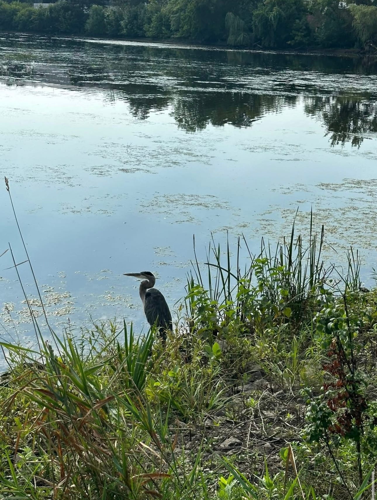 Building Photo - 6169 Knoll Wood Rd