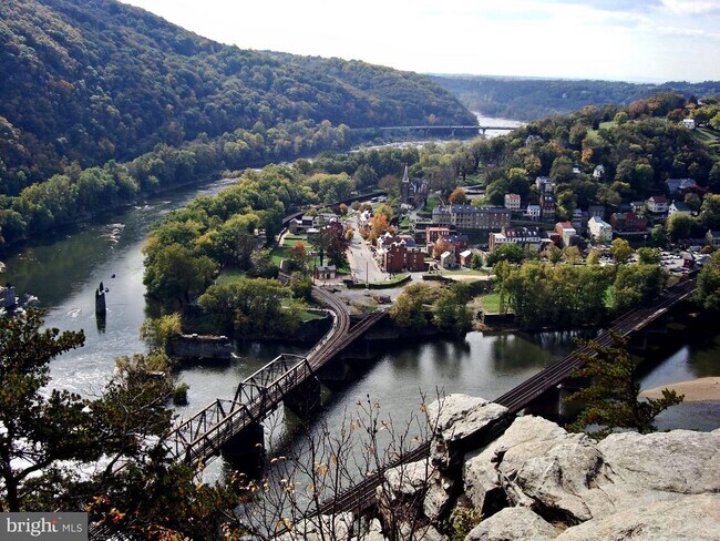 Building Photo - 36 Patterson Rd