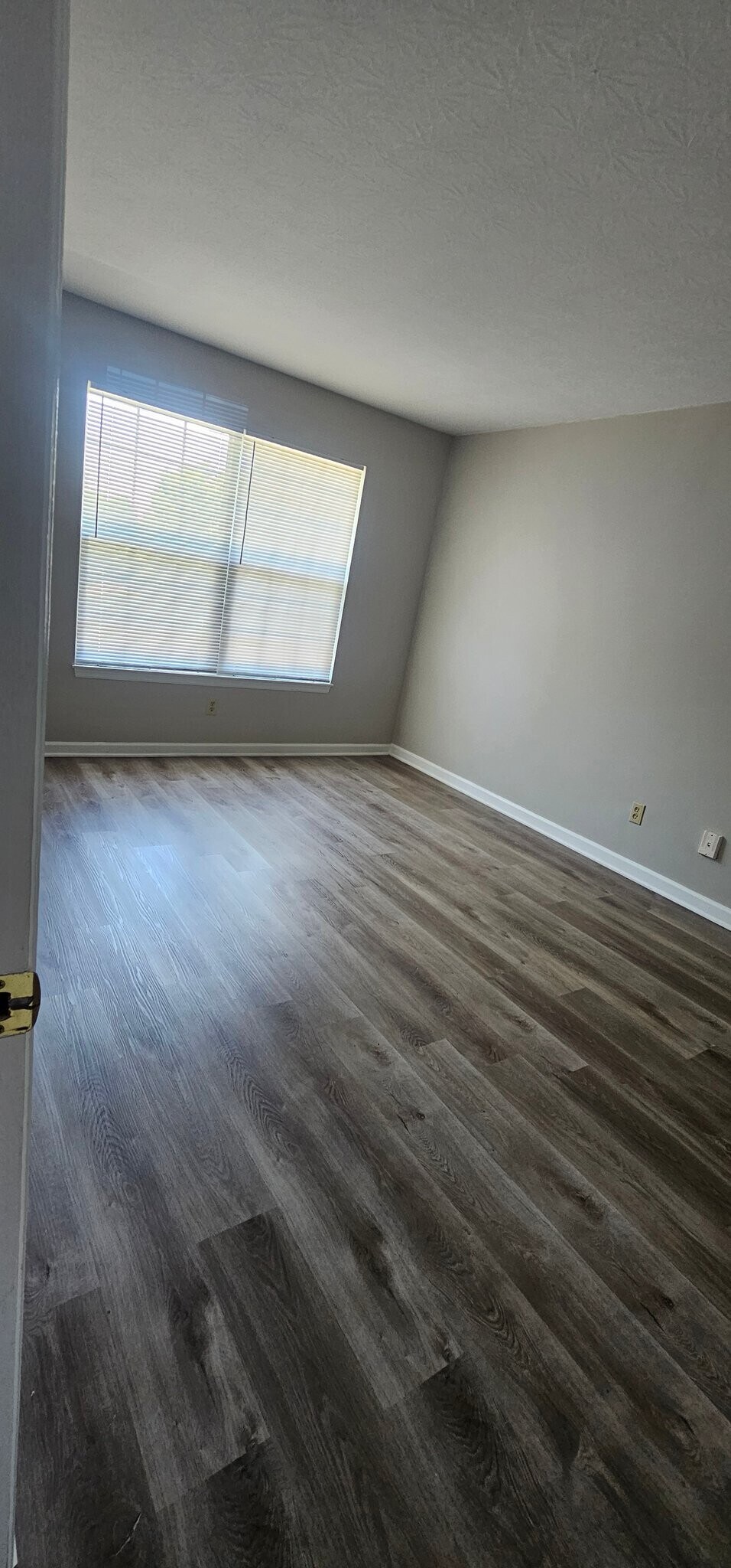 Building Photo - 258 E Plane St