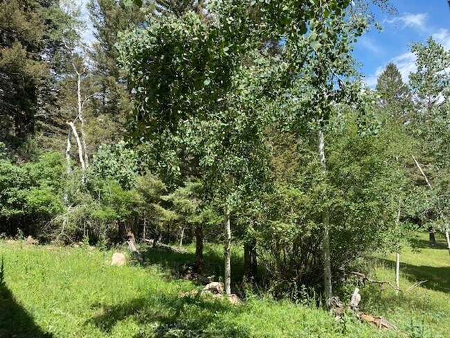 Building Photo - 30856 Kings Valley Way