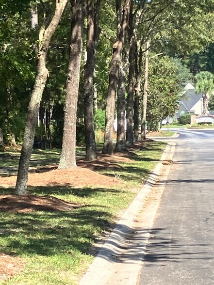 Main road entrance - 119 South St