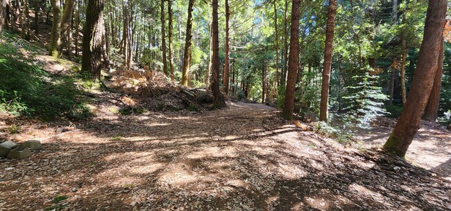 Building Photo - Cabin In the Wood!