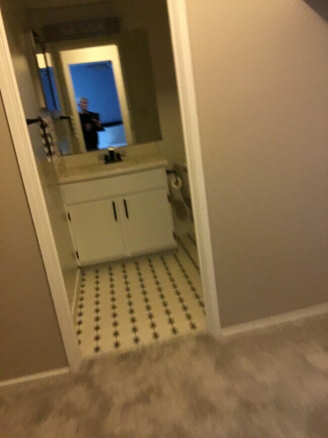 Master closet/barh - 1245 S Maple Rd