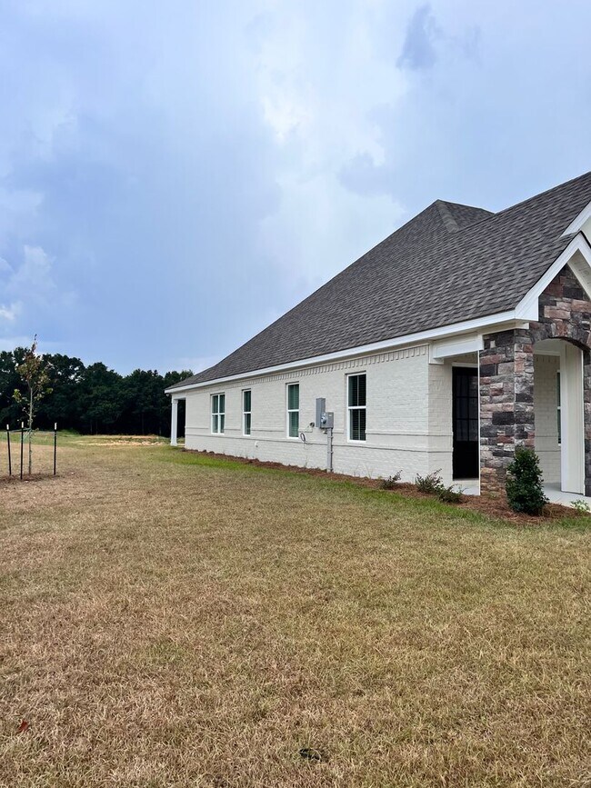 Building Photo - Available August!