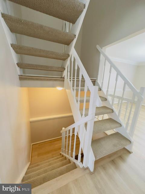 Building Photo - 3442 Belfry Ln