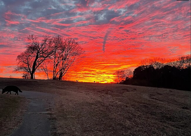 Building Photo - "Charming 3-Bedroom Retreat with 2 Baths w/bonus room and fenced yard!!