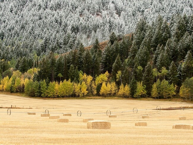 Building Photo - Modern 3-Bedroom Townhome in the Heart of ...