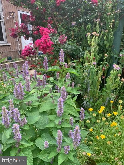 Building Photo - 2038 E Dauphin St