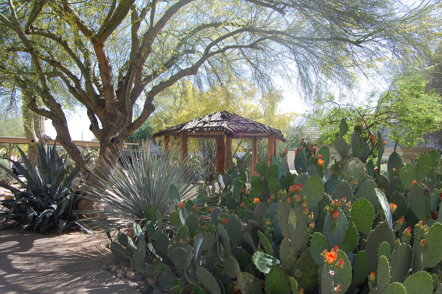 Cactus Garden - Emparrado