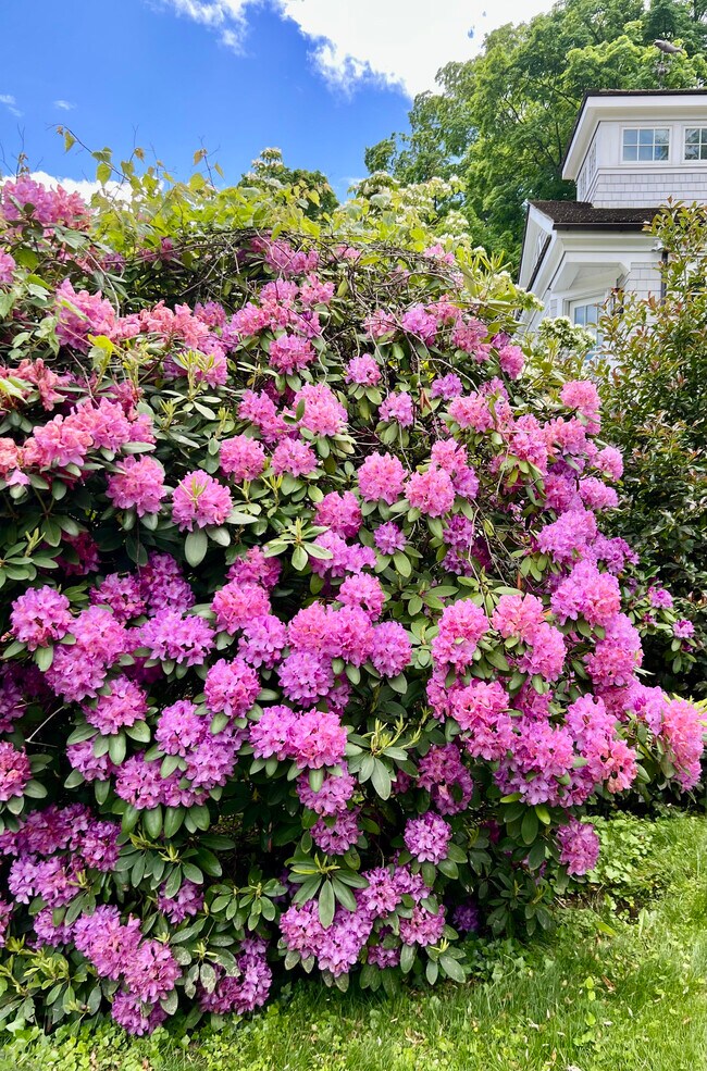 Building Photo - 88 5 Mile River Rd