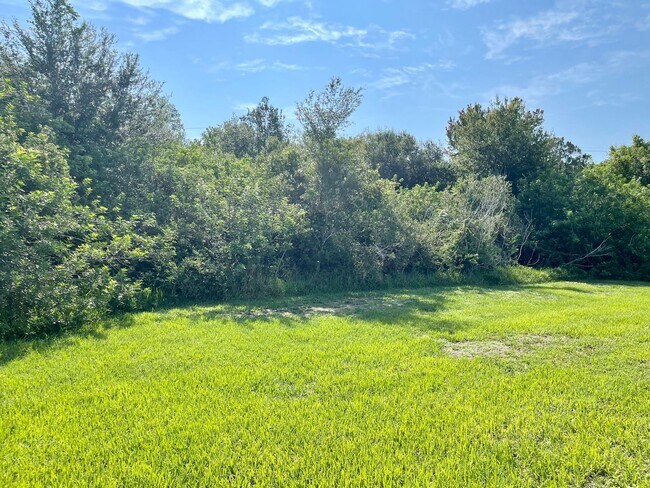 Building Photo - Great 4/2 home in Wedgefield!!