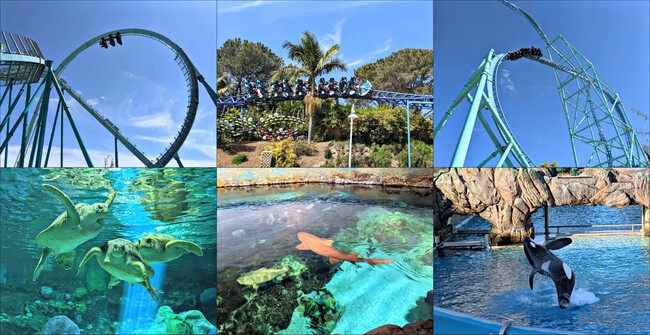 Get into aquatic adventures at the nearby water park & the wonders of SeaWorld - 524 Telegraph Canyon Rd