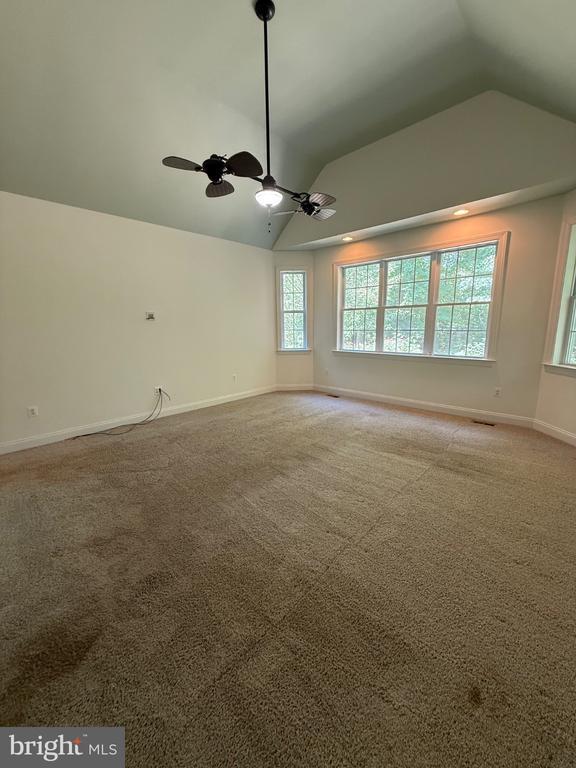 Building Photo - 11621 Pine Hollow Ln