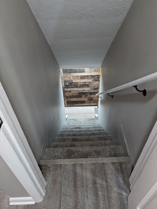 Building Photo - ***Brand New Updated 4 Bedroom House****