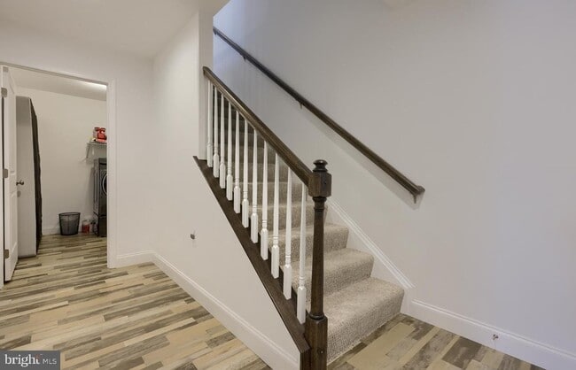 Building Photo - 204 Mayer Pl