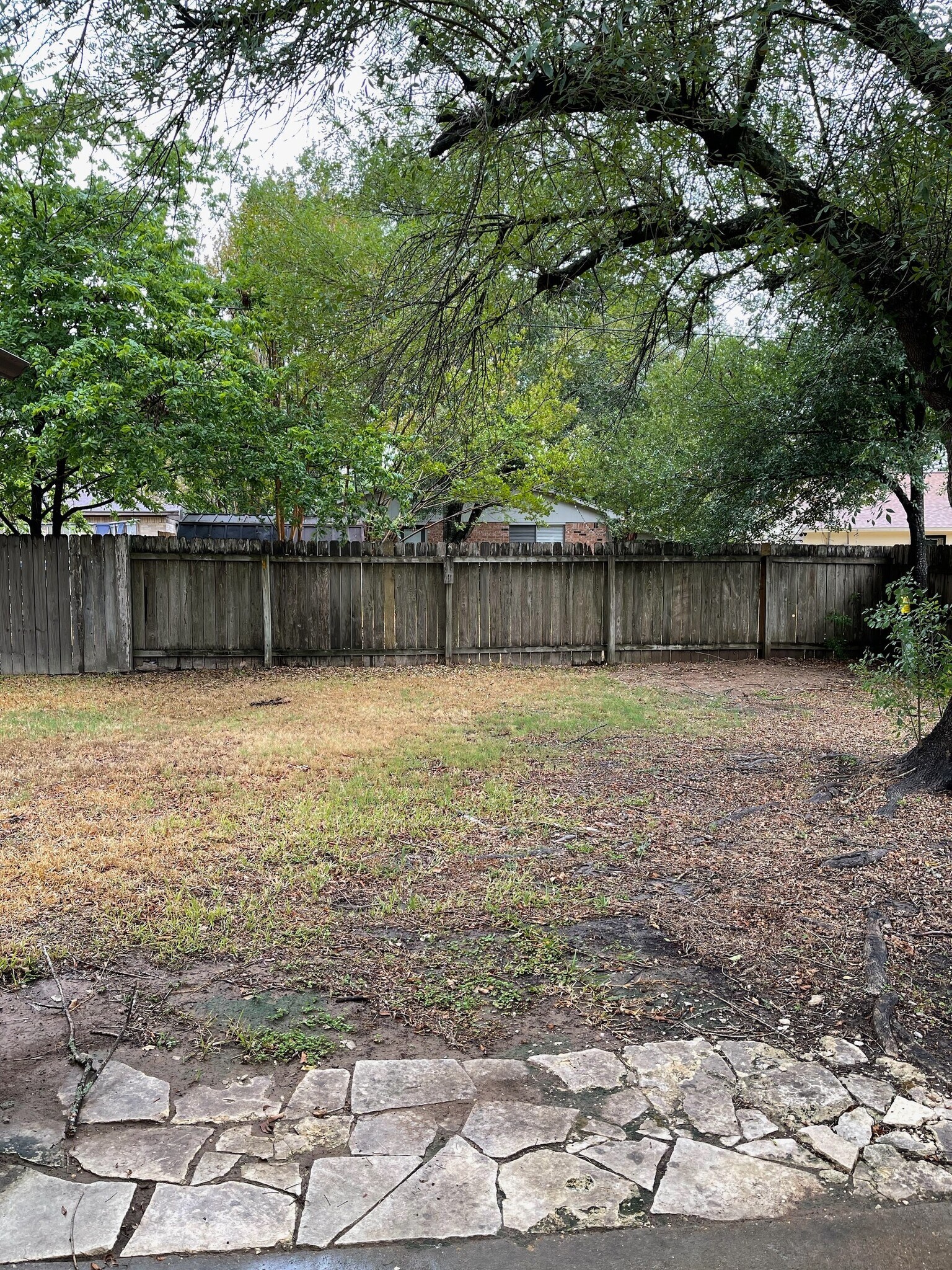 Backyard - 3008 Longleaf Dr