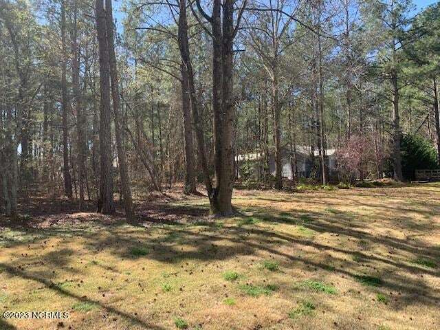 Building Photo - 862 Blue Bird Dr