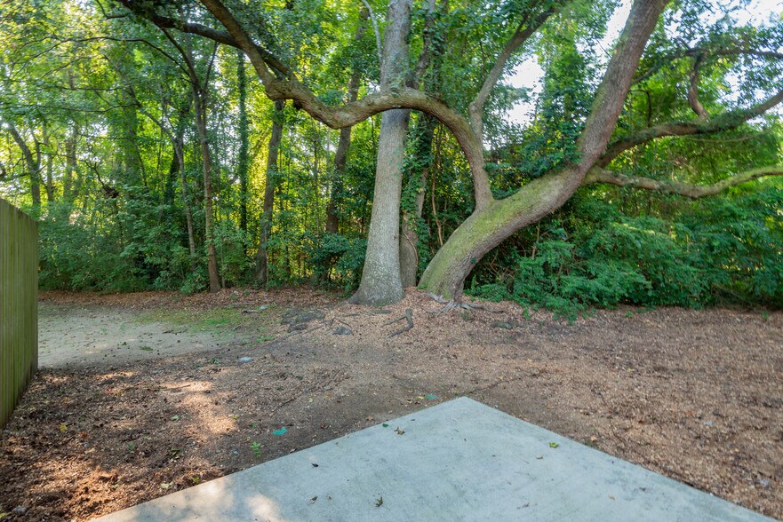 Backyard - 424 Howle Ave