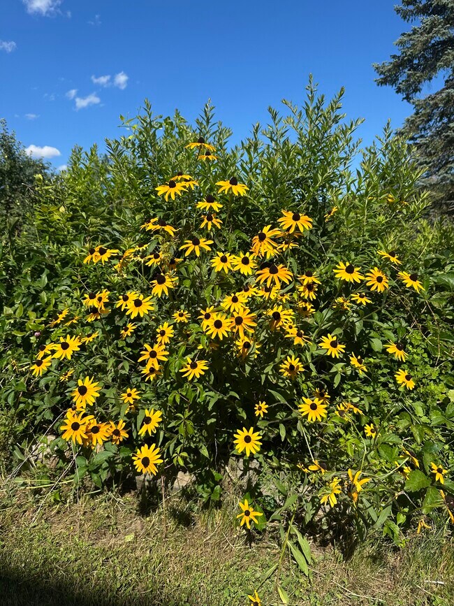 Building Photo - 967 Meadow Rd