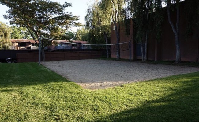 VOLLEYBALL COURT - 1345 Cabrillo Park Dr