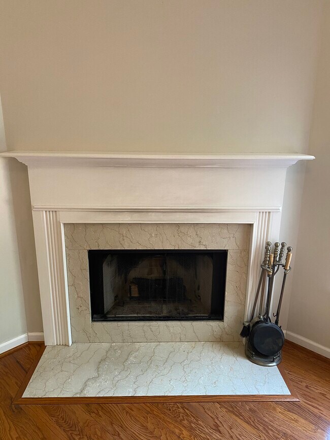 Fireplace - 709 Warmstone Ct
