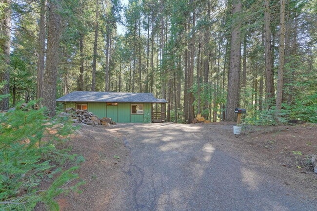 Building Photo - Darling 2-bedroom cabin in the woods!