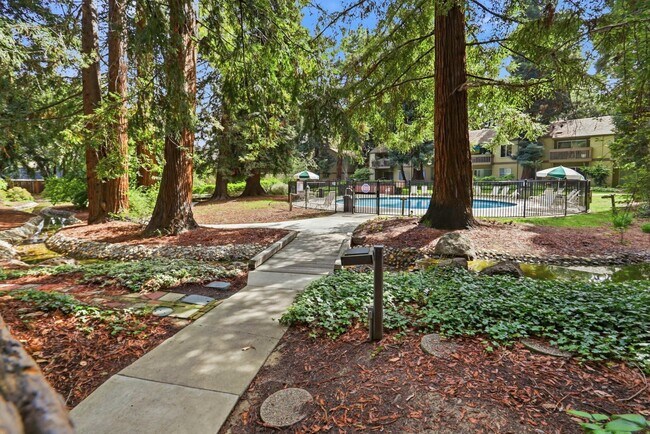 Building Photo - Move-In Ready 2 Bedroom/1 Bathroom Condo in The Heart of Mountain View!