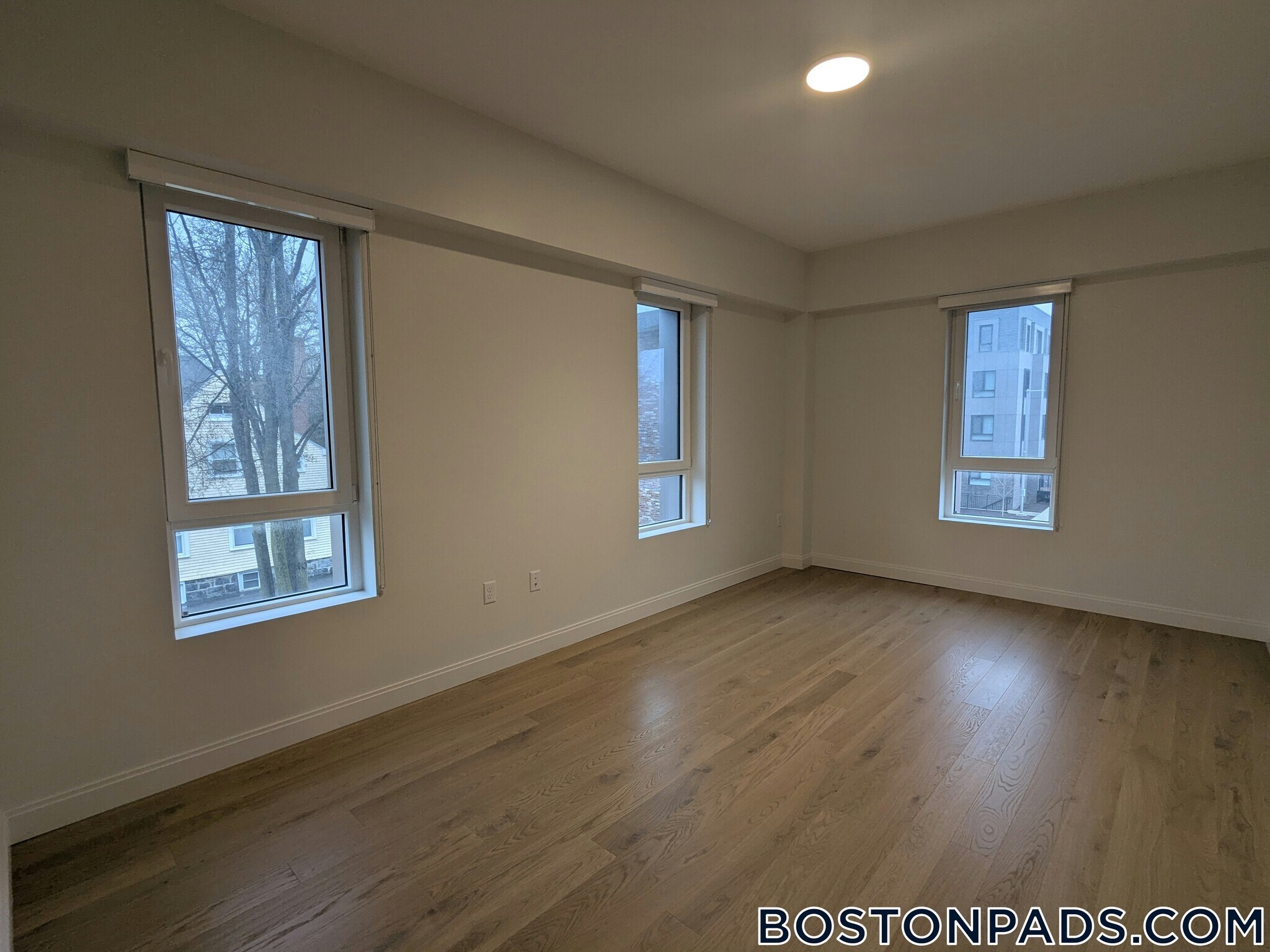 Building Photo - 55 Brighton Ave