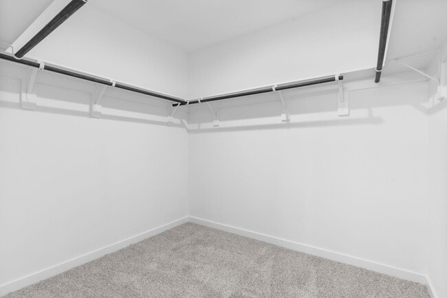 Building Photo - 1015 River Coral Ln