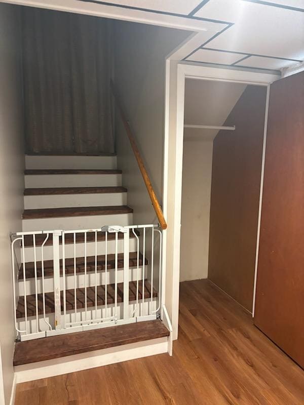 Building Photo - 1541 Marconi Dr