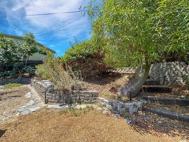 Building Photo - Beautiful 3BD/2BA House in El Cerrito w/ W...