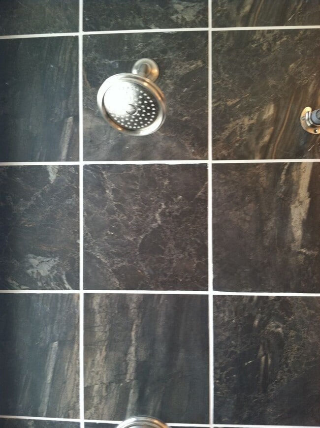 Building Photo - Luxury Home - South Side Flats