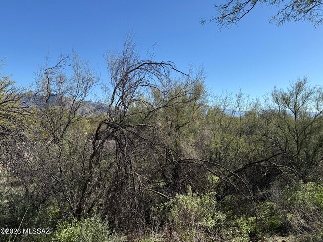 Building Photo - 5751 N Kolb Rd