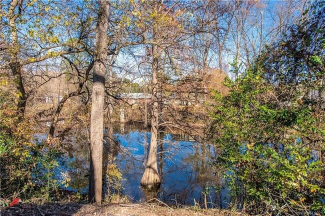 Building Photo - Newly Remodeled Anderson Island Rental