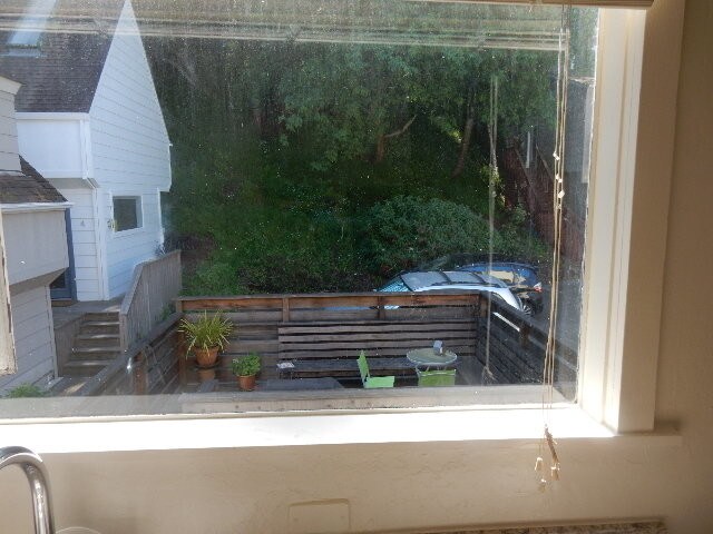 view from kitchen window - 234 Miller Ave