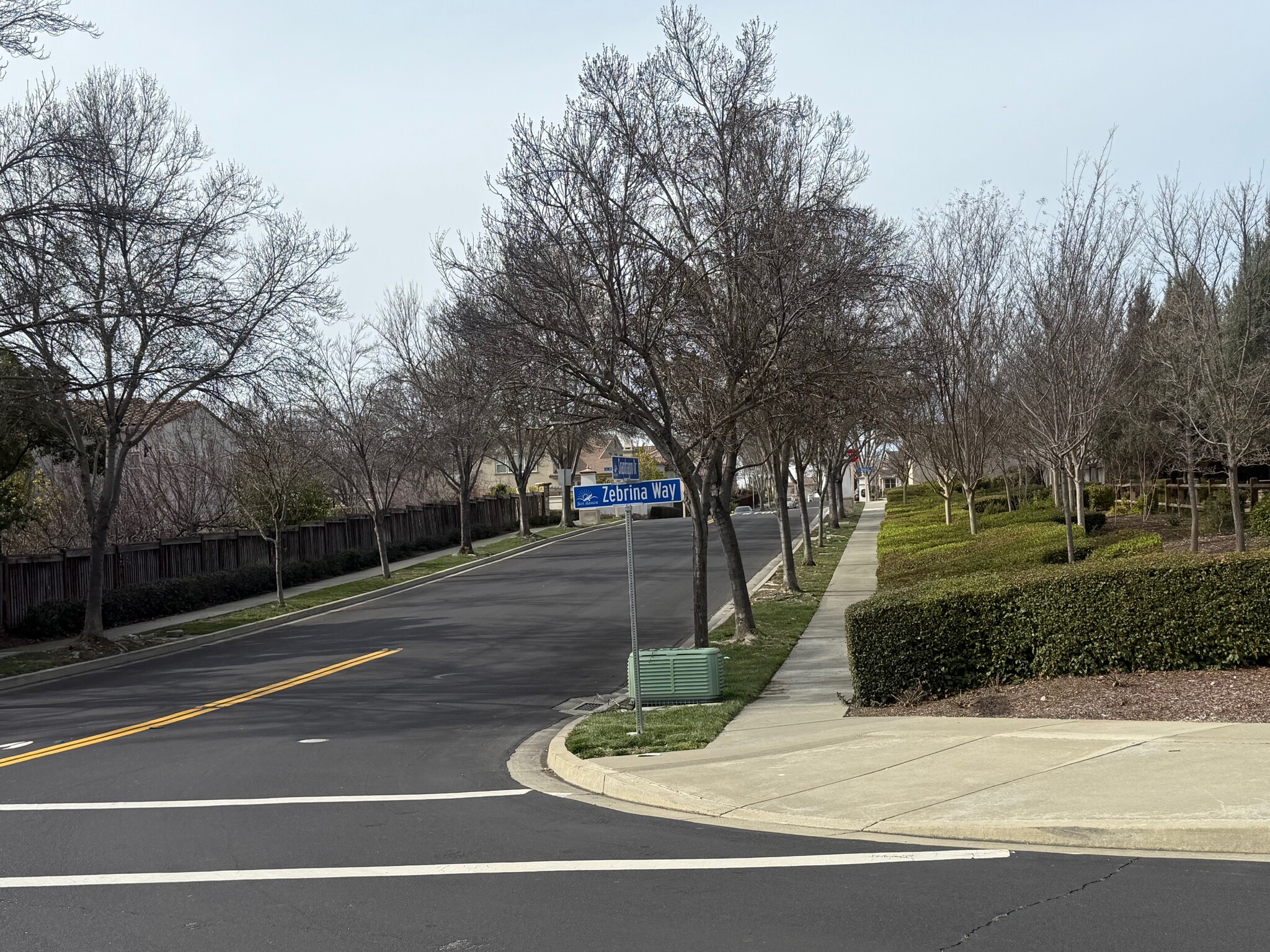 Building Photo - 2016 Maidenhair Way