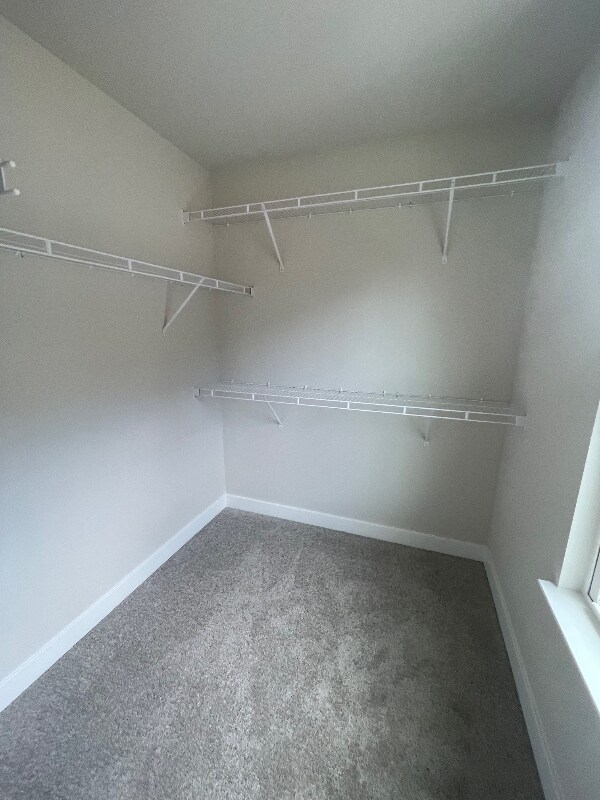 Building Photo - 1097 Mountain Vw Dr