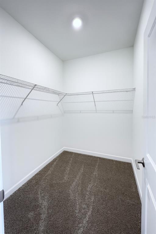 Building Photo - 3014 Camden Wy