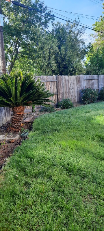 Building Photo - 4924 Cabrillo Way