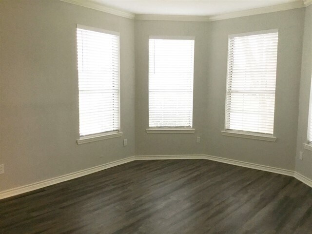 Building Photo - 3506 Pine Tree Dr