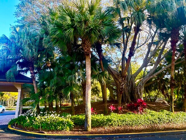 Building Photo - 10173 Mangrove Dr