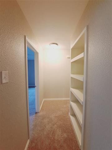 Building Photo - 1120 Ridgeway Cir