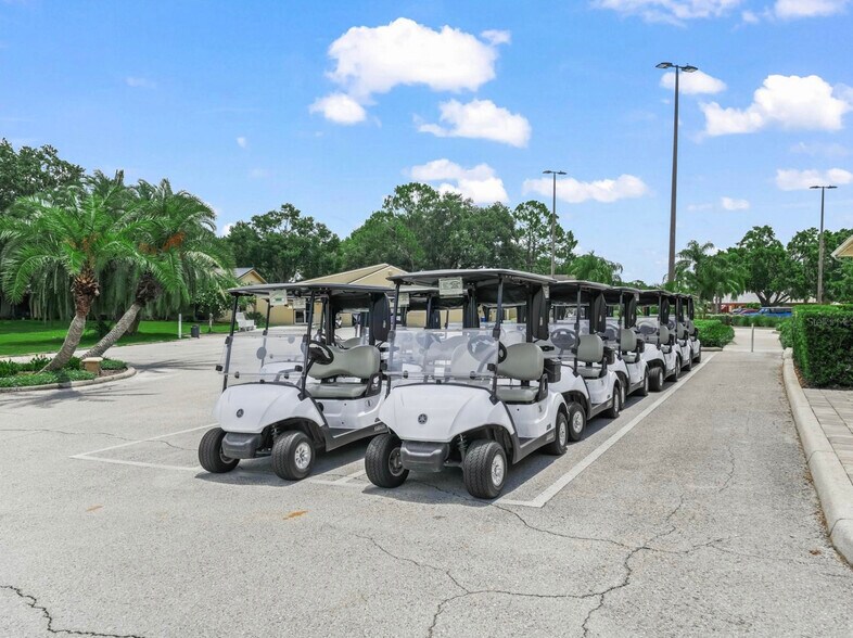 Golf Carts - 507 Eagle Pond Dr