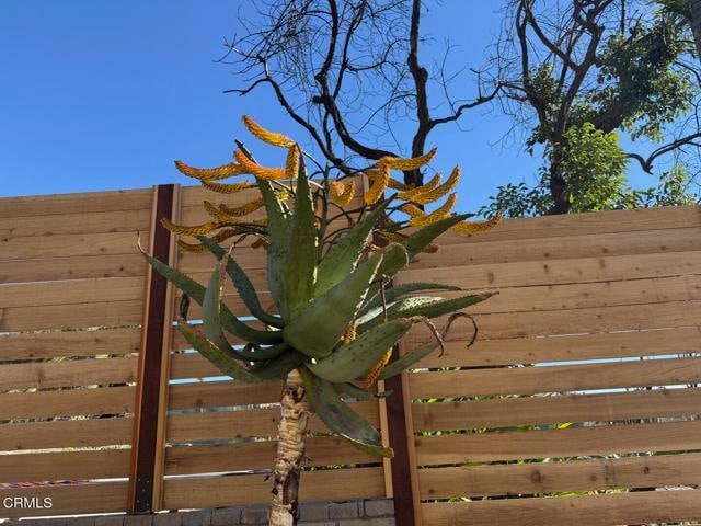 Building Photo - 300 W Loma Alta Dr